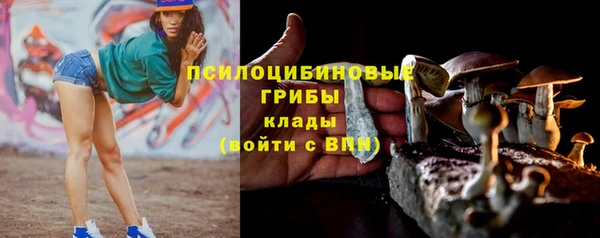 эйфоретик Белокуриха