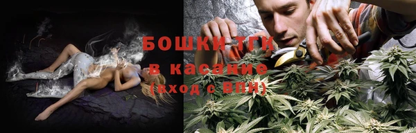 эйфоретик Белокуриха