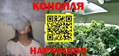 Альфа ПВП Можайск