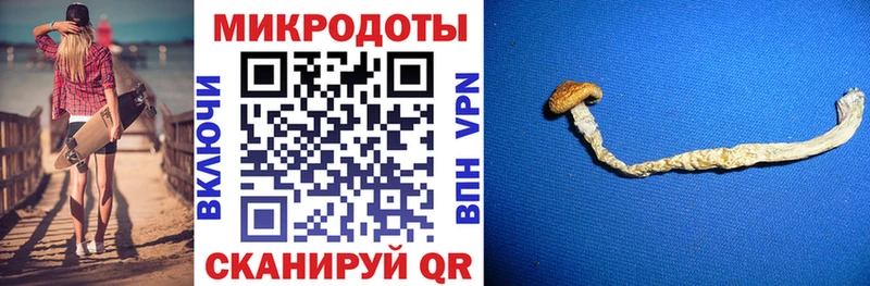 Псилоцибиновые грибы мухоморы  кракен   Бугульма  купить наркоту 