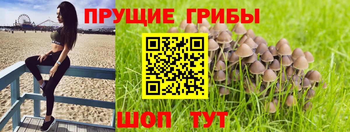 купить наркоту  Галлюциногенные грибы мухоморы  Вход с VPN  Бугульма 